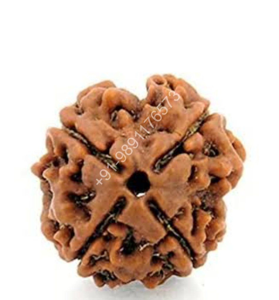 FOUR MUKHI FOUR FACE RUDRAKSH